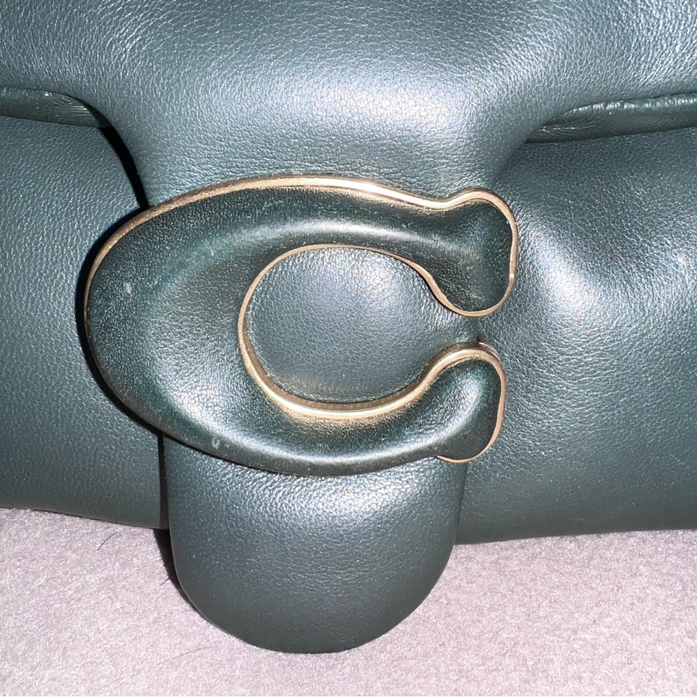Coach, pillow tabby - Picture 2 of 7